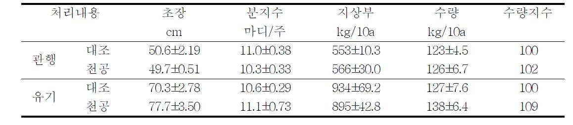 콩 수량 및 수량 구성요소(2008년)