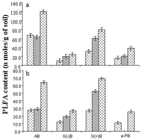 Total PLFA content in response to applied organic farming system (a) and conventional farming system (b) treated soils.