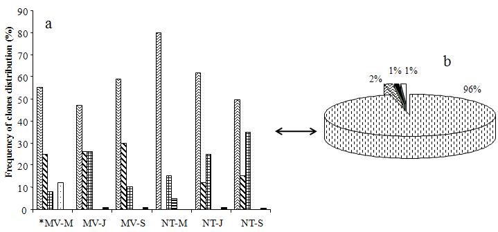 Distribution of 16S rDNA gene sequences obtained from two treated soil samples at different interval.