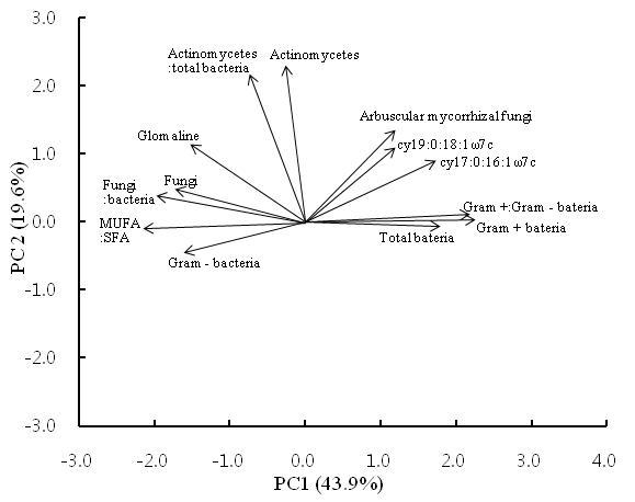 Principal components analyses of community EL-FAME profiles from organic farming system (OFS) and conventional farming system (CFS).