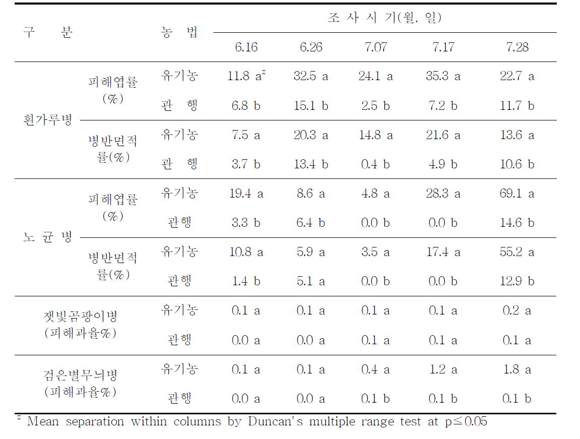 오이 유기 및 관행재배에 발생한 병해 현황