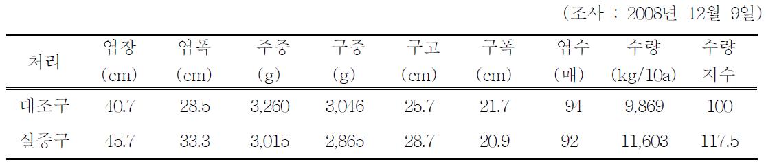 처리별 배추 생육 및 수량비교