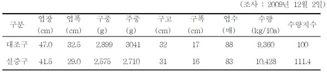 처리별 배추생육 및 수량비교