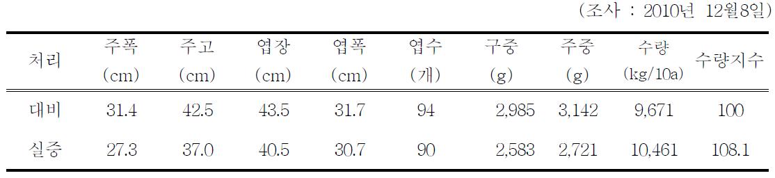 처리별 배추 생육 및 수량비교