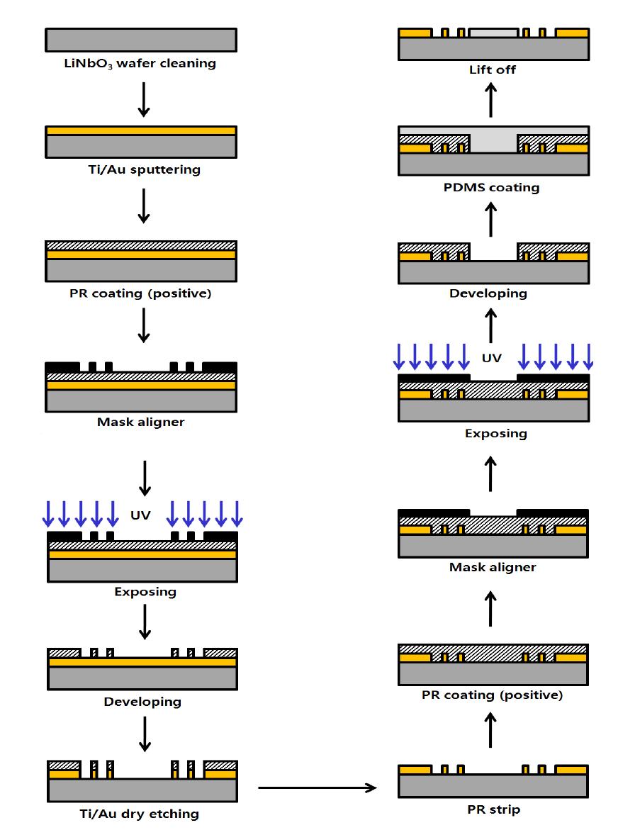 Fabrication process of 160 MHz SAW sensor.