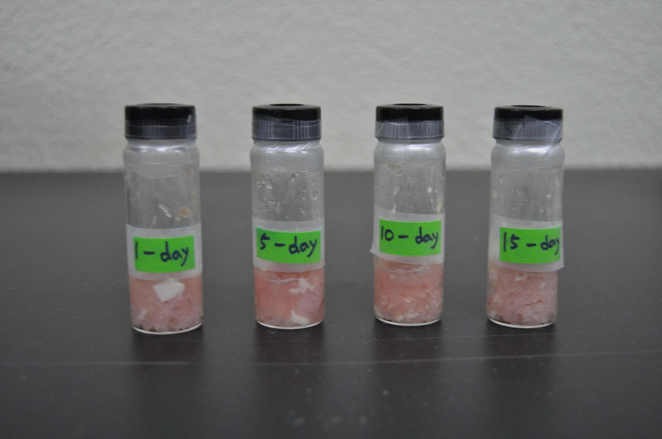 Photo of test specimens of packaged chicken according to storage time(1 day, 5 days, 10 days, 15 days).