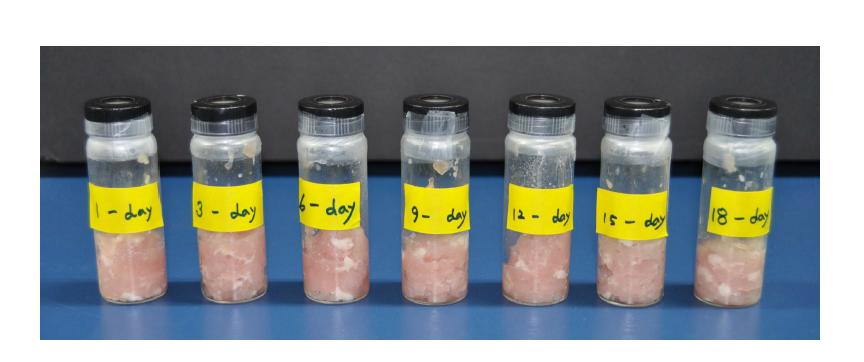 Photo of test specimens of packaged chicken according to storage time(1 day, 3, 6, 9, 12, 15, 18 days).