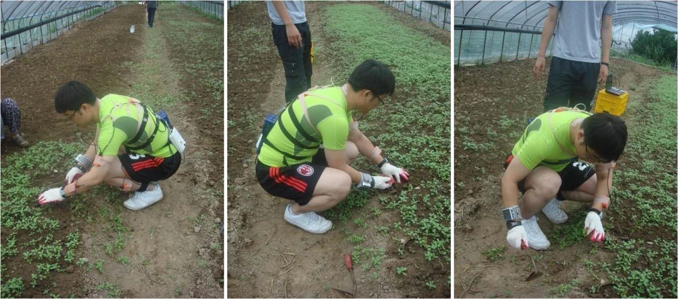 Photo view of weed control work during 20 minutes: these postures are almost static knee squat posture