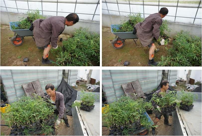 Photo view of soil screening work for 20 minute. During this time, the worker transported flowerpot from ground to truck 5 times.