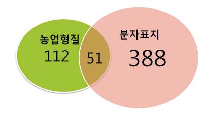 농업형질과 분자표지를 이용한 핵심수집집단의 작성.