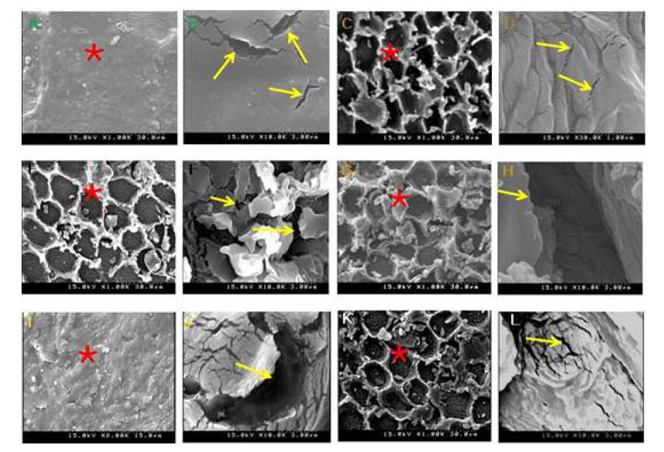 The surface deposit features of seed coat in the permeable and impermeable wild soybean lines.