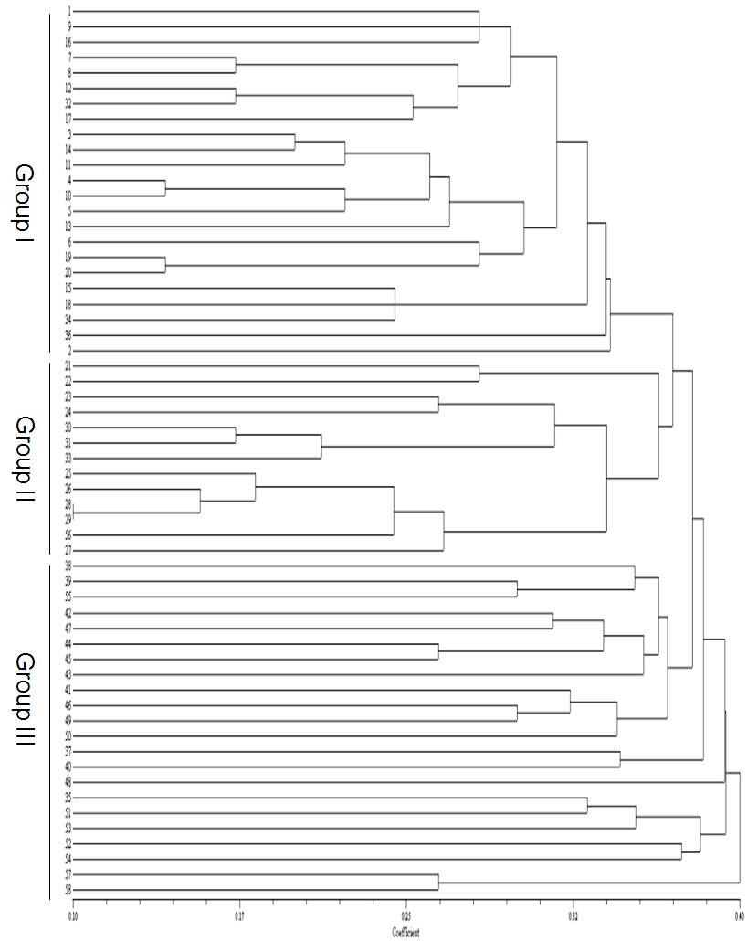 Dendrogram obtained from cluster analysis based on the unbiased estimated of Nei s standard distance using the average linkage among G. soja, semi-wild, and G. max.