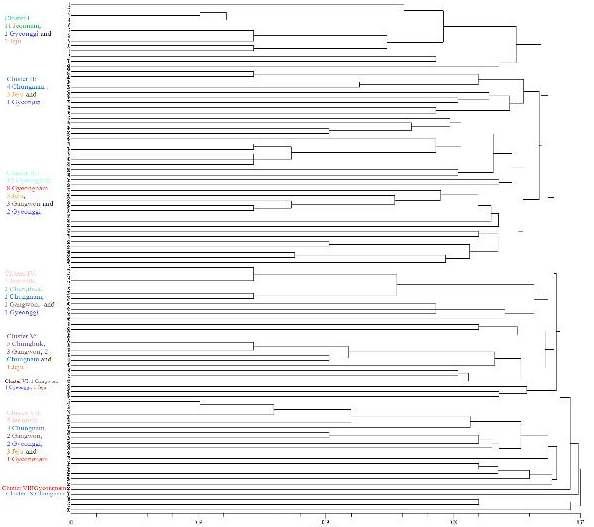 Genetic relationships among 99 wild soybean lines collected from different provinces(NTSYSpc program).