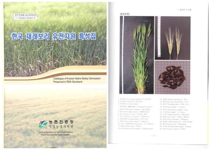 Catalogue of Korean native barley germplasm.