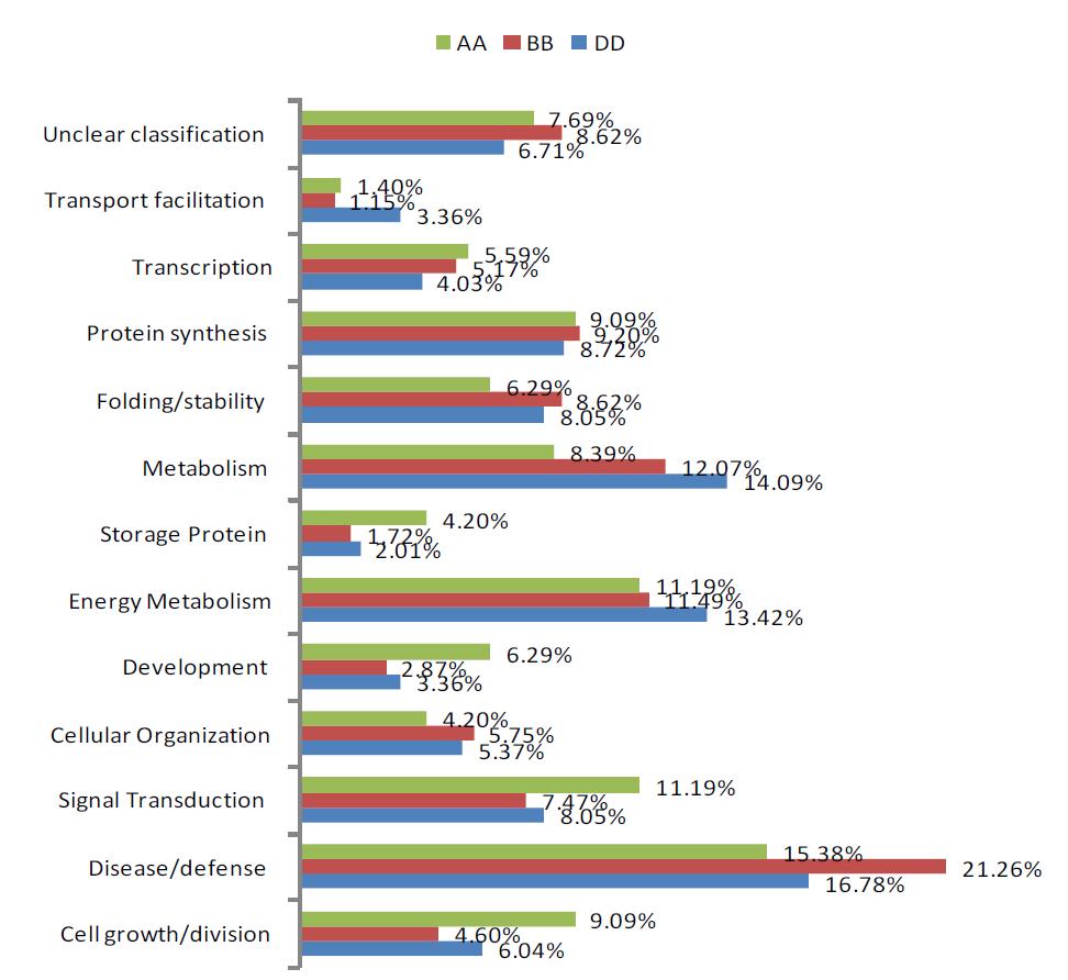 Functional distribution of total identified proteins among AA, BB and DD genome using LCQ mass spectrometry.