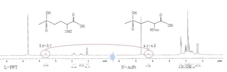 NMR spectroscopy를 통한 N-AcPt의 화학적 변화 확인 DL-PPT의 NMR data (좌)와 유기합성법으로 제작된 N-AcPt (우)