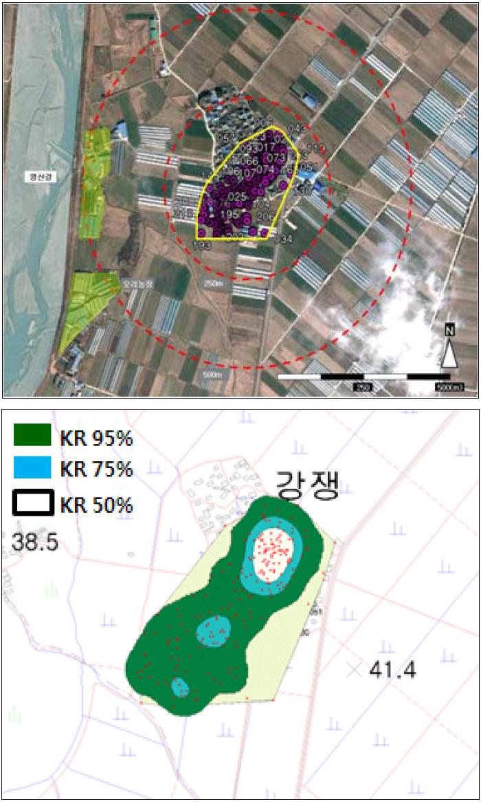 야생고양이 B의 행동반경(위) 및 행동권(아래)