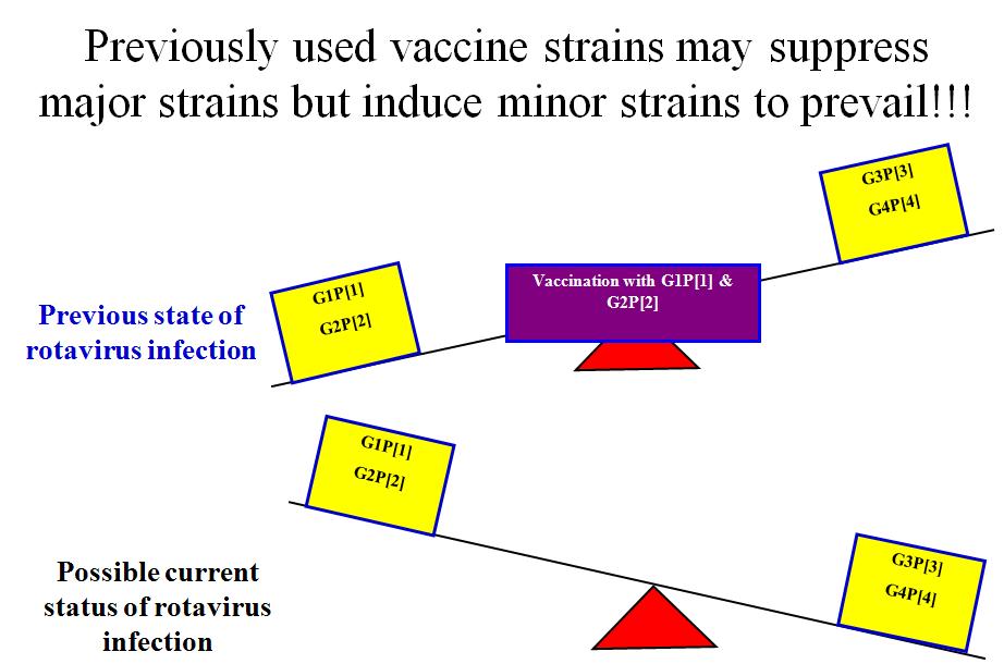 백신 사용에 의한 로타바이러스 유전형의 변화 모식도