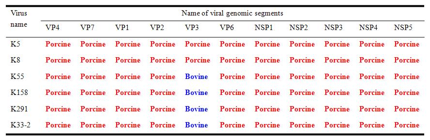 Sequence analysis of unusual G5P[7] porcine-like bovine rotavirus strains reveals evidence for interspecies transmission