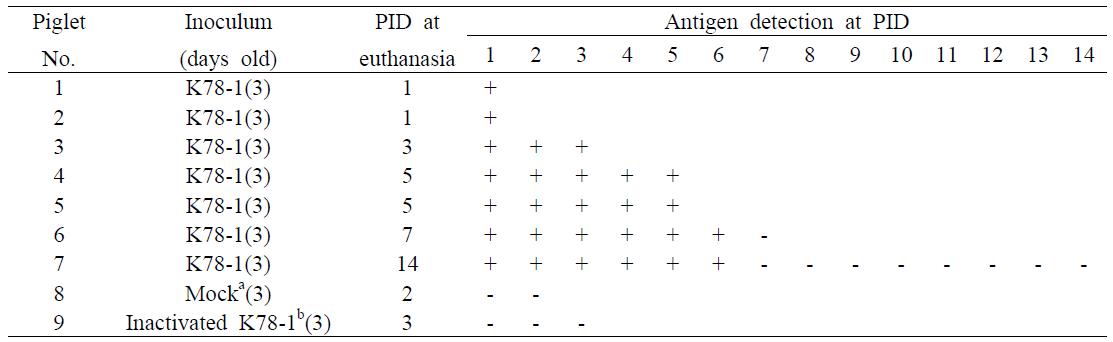 Summary of antigen detection rate in the small intestine of piglets inoculated with homologous G5P[7] K78-1 strain