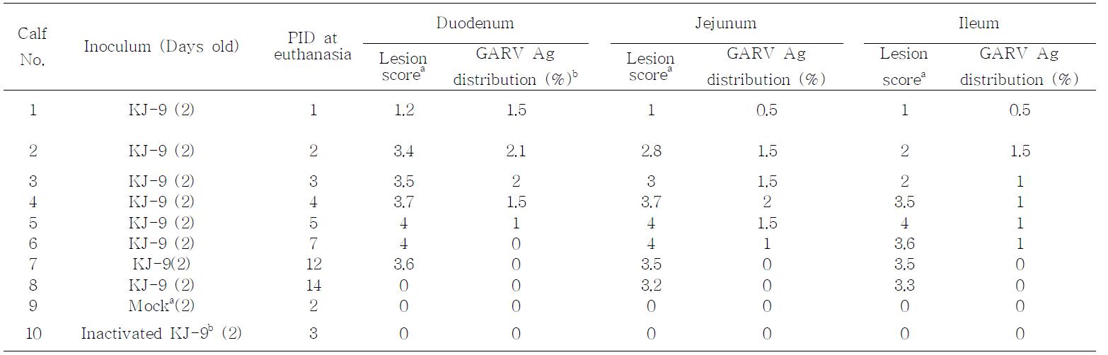 Summary of the histopathological findings in the small intestine of the colostrums-deprived calves after inoculation with a reassortant KJ-9strain