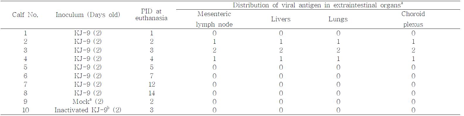 Summary of the antigen distribution in the extraintestinal organs of the colostrums-deprived calves after inoculation with a reassortant KJ-9 strain