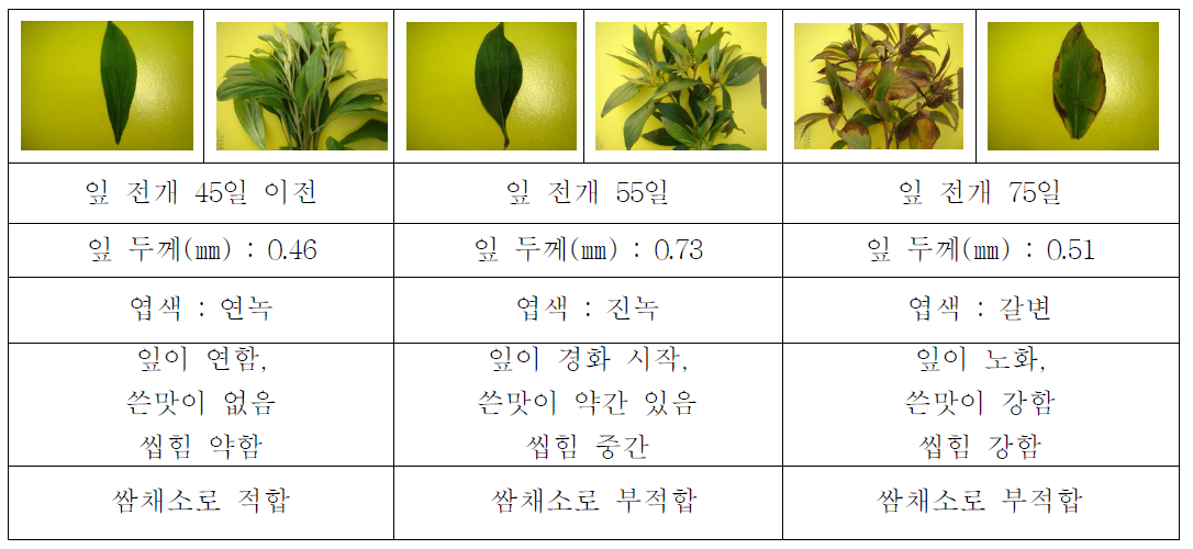 Critical time of harvesting edible sprout of atractylodes