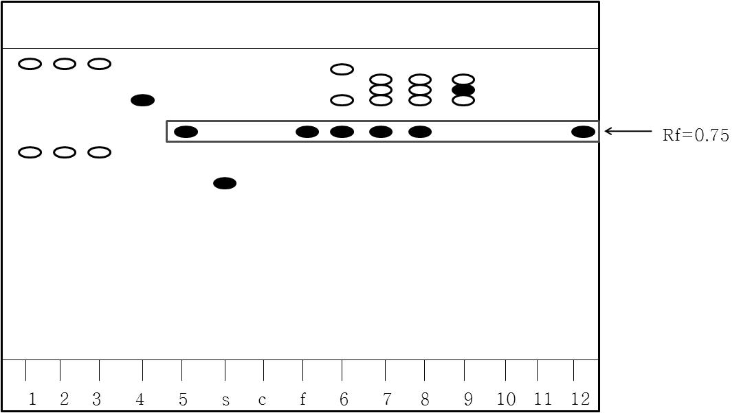 TLC Pattern of domestic medicinal baby leaf extracts using different drying methods