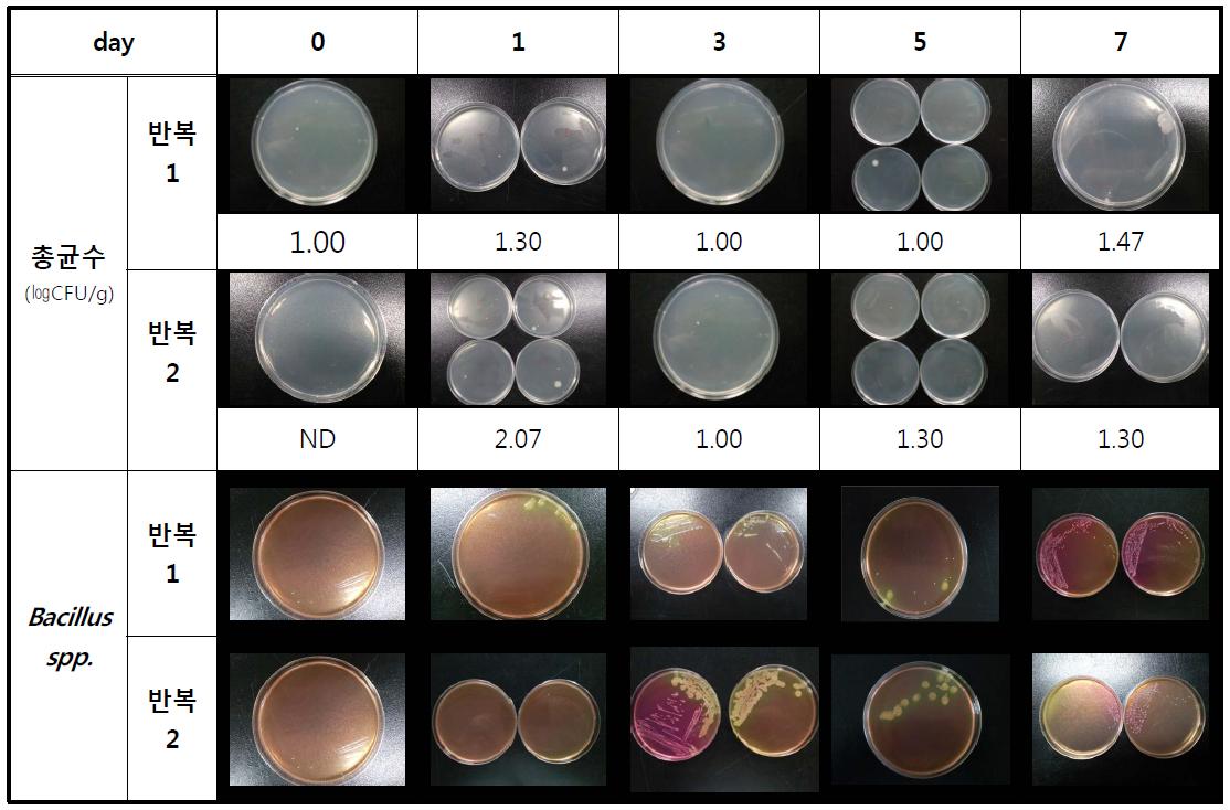 저장기간에 따른 미생물학적 특성