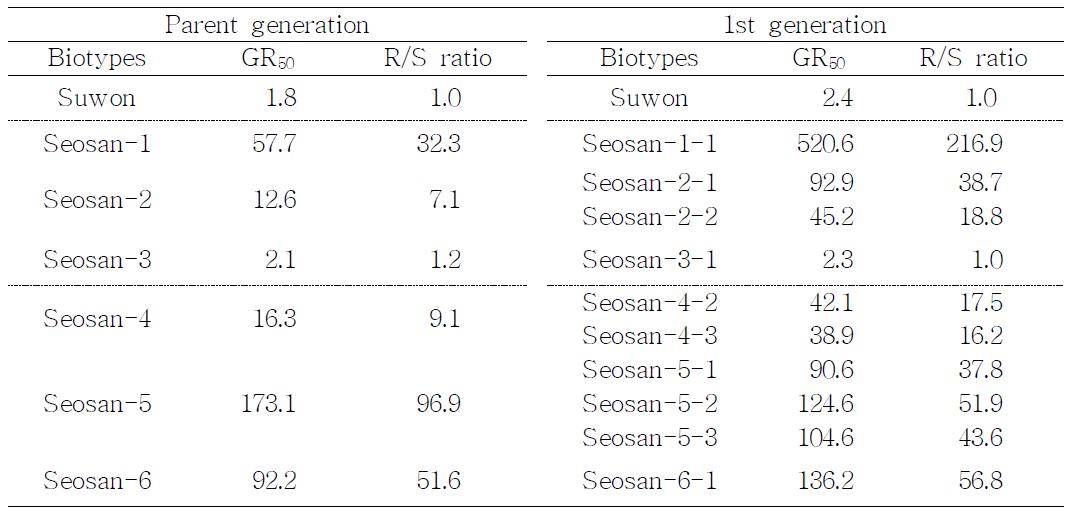 Temporal changes in GR50 values and R/S ratios of Seosan and Suwon biotypes of E. crus-galli var crus-galli to cyhalofop-butyl