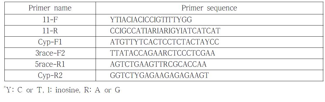 gDNA PCR에 사용된 Oligonucleotide primer