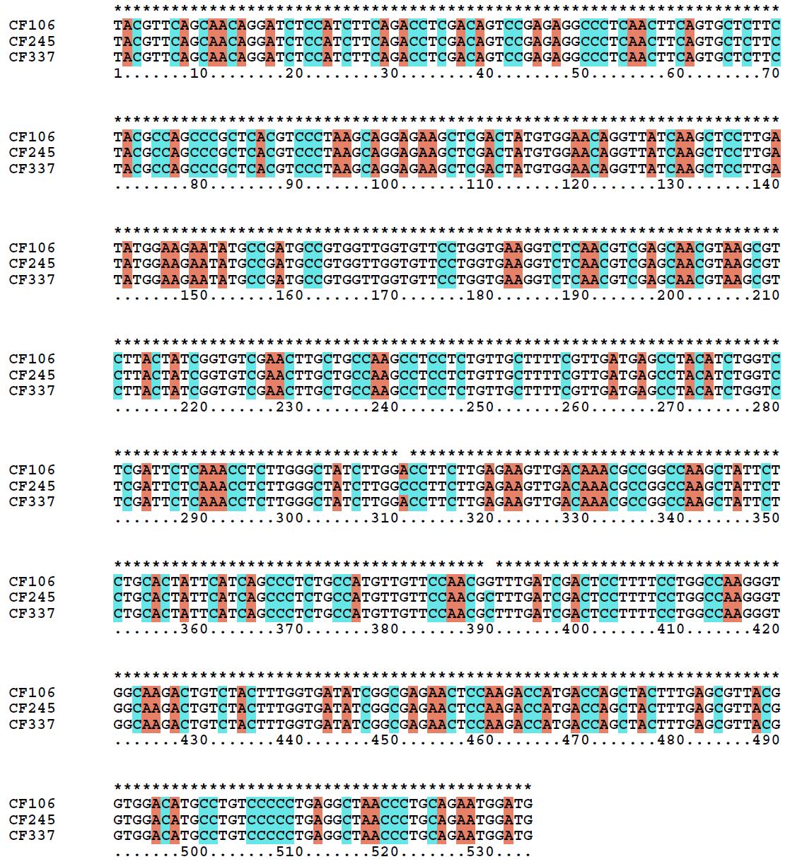 민감성병원균 CF106과 저항성병원균 CF245 및 CF337의 efflux transporter 유전자 염기서열 분석결과.