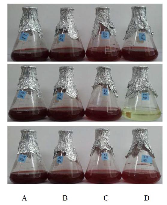 Prochloraz와 시판 살균제의 혼합처리에 따른 저항성병원균 CF245의 생장. A . PDB, B. PDB+prochloraz+thiophanate methyl-thiram, C. PDB+prochloraz+ benomyl-thiram, D. PDB+prochloraz+tebuconazole.