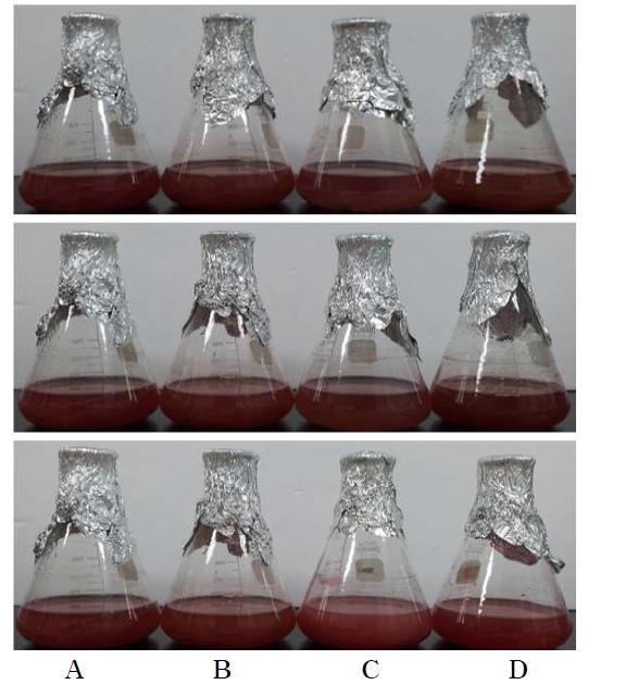 Prochloraz와 시판 살균제의 혼합처리에 따른 저항성병원균 CF337의 생장. A . PDB, B. PDB+prochloraz+thiophanate methyl-thiram, C. PDB+prochloraz +benomyl-thiram, D. PDB+prochloraz+tebuconazole.