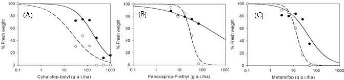 Dose-responses of Suwon (○) and Seosan-5 (●) biotypes to cyhalofop-butyl (A), fenoxaprop-P-ethyl (B) and metamifop (C).