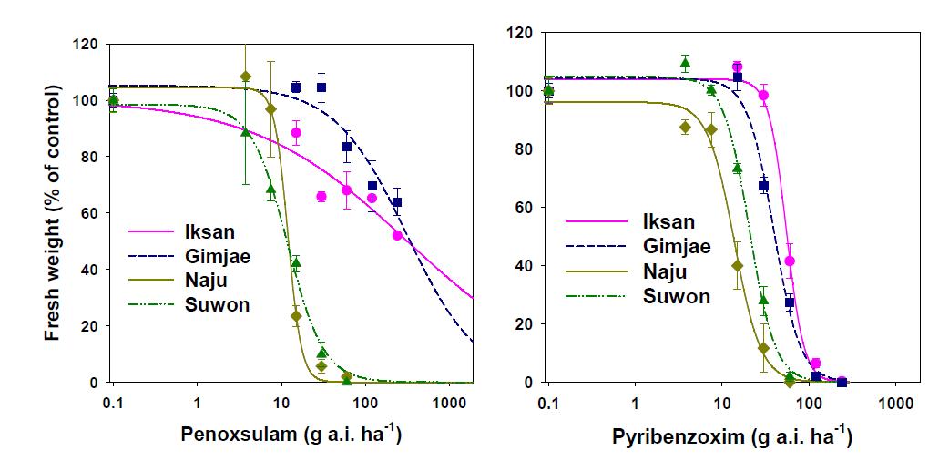 Dose-responses of Echinochloa oryzicola biotypes to penoxsulam (PNX), and pyribenzoxim (PBX).