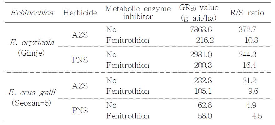 대사효소억제제 fenitrothion 혼합처리 유무에 따른 저항성 피의 azimsulfuron, penoxsulam 에 대한 약량반응 GR50값과 ALS 효소 반응의 I50값과 R/S 비.