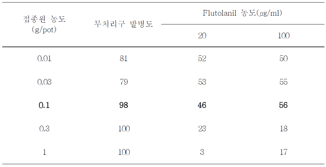 접종원 농도에 따른 Rhizoctonia 모잘록병 발생 및 flutolani 방제효과