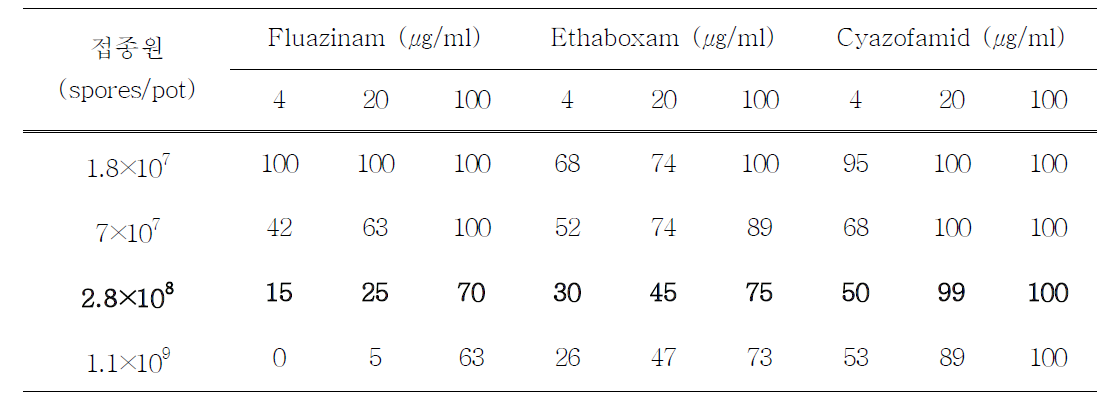 접종 농도에 따른 살균제의 뿌리혹병 방제효과