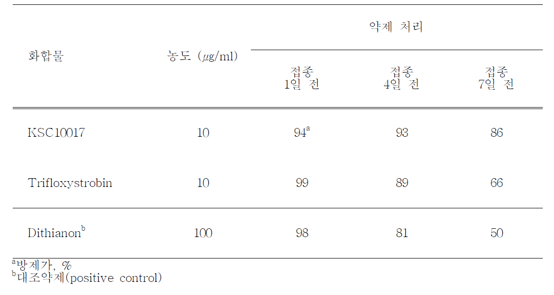 후보화합물의 고추 탄저병에 대한 방제효과