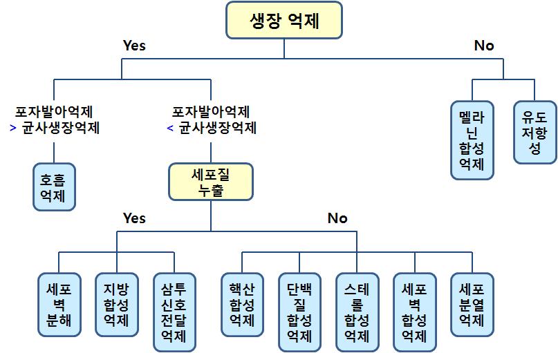 물질의 작용 기구를 구명하기 위한 실험 체계