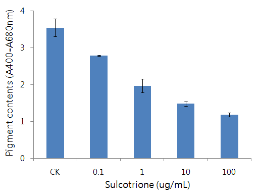 HPPD 과발현 pYS103B 균주의 색소형성에 미치는 sulcotrione의 효과