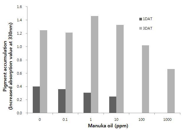 HPPD 과발현 pYS103B 균주의 색소형성에 미치는 Manuka oil의 효과