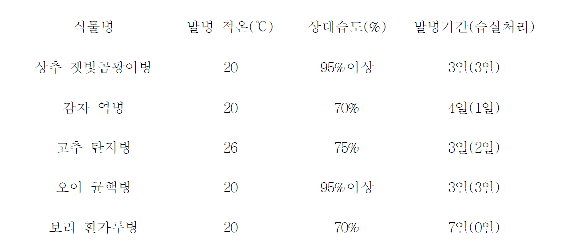 신바이오 살균제의 생물검정법 중 발병을 위한 환경 조건