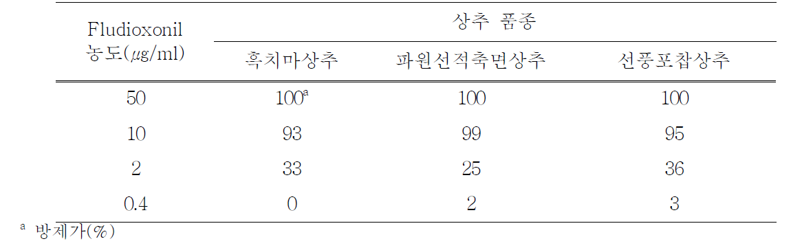 상추 품종에 따른 fludioxonil의 상추 잿빛곰팡이병 방제효과