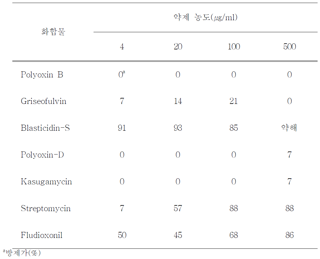 약제의 예방처리에 의한 토마토 역병 방제효과