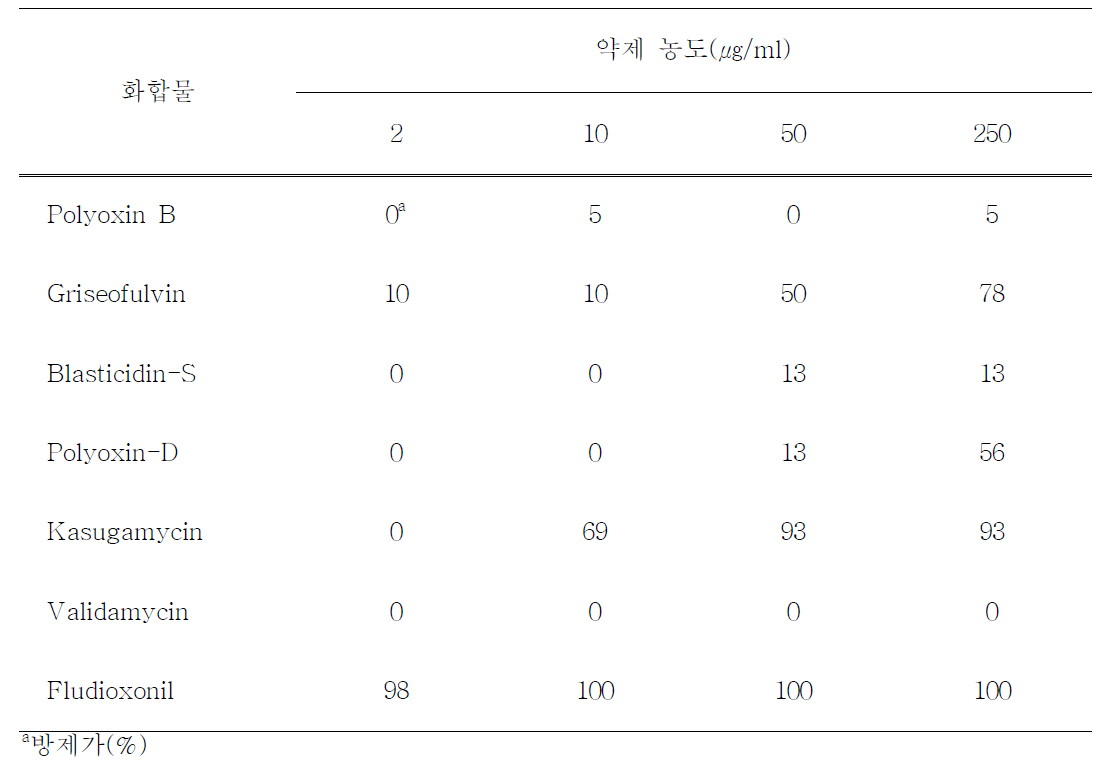 약제의 예방처리에 의한 고추 탄저병 방제효과