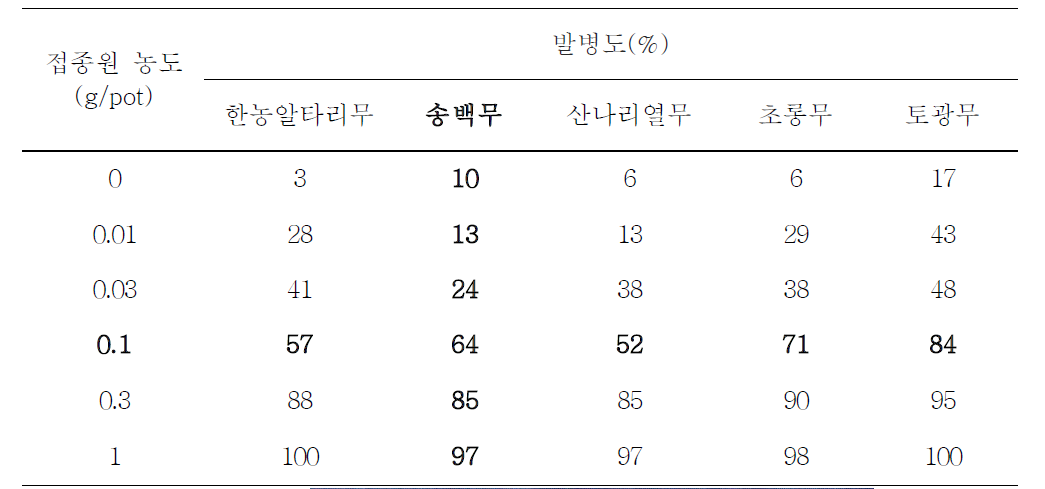 품종에 따른 Rhizoctonia 모잘록병 발생