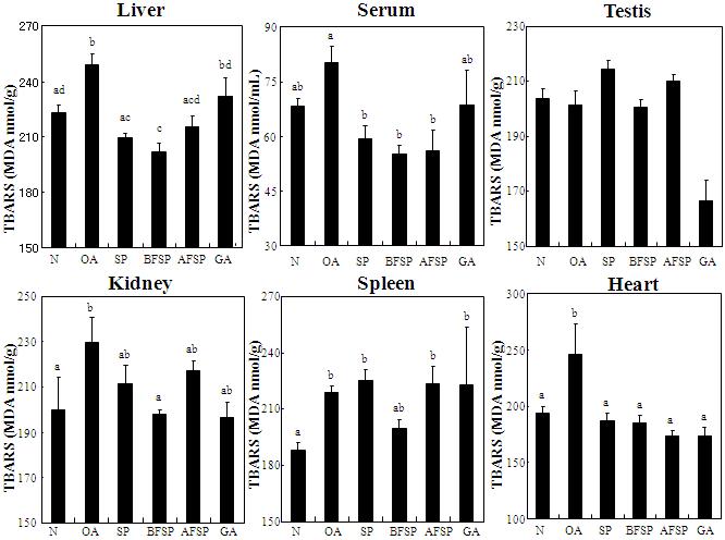Effects of SP, BFSP, AFSP and GA on TBARS in the liver, kidney, spleen, heart, testis and serum of orotic acid feeding rats