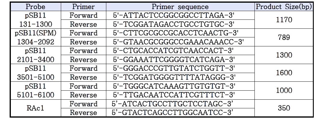 BackBone DNA 분석을 위한 사용된 프라이머